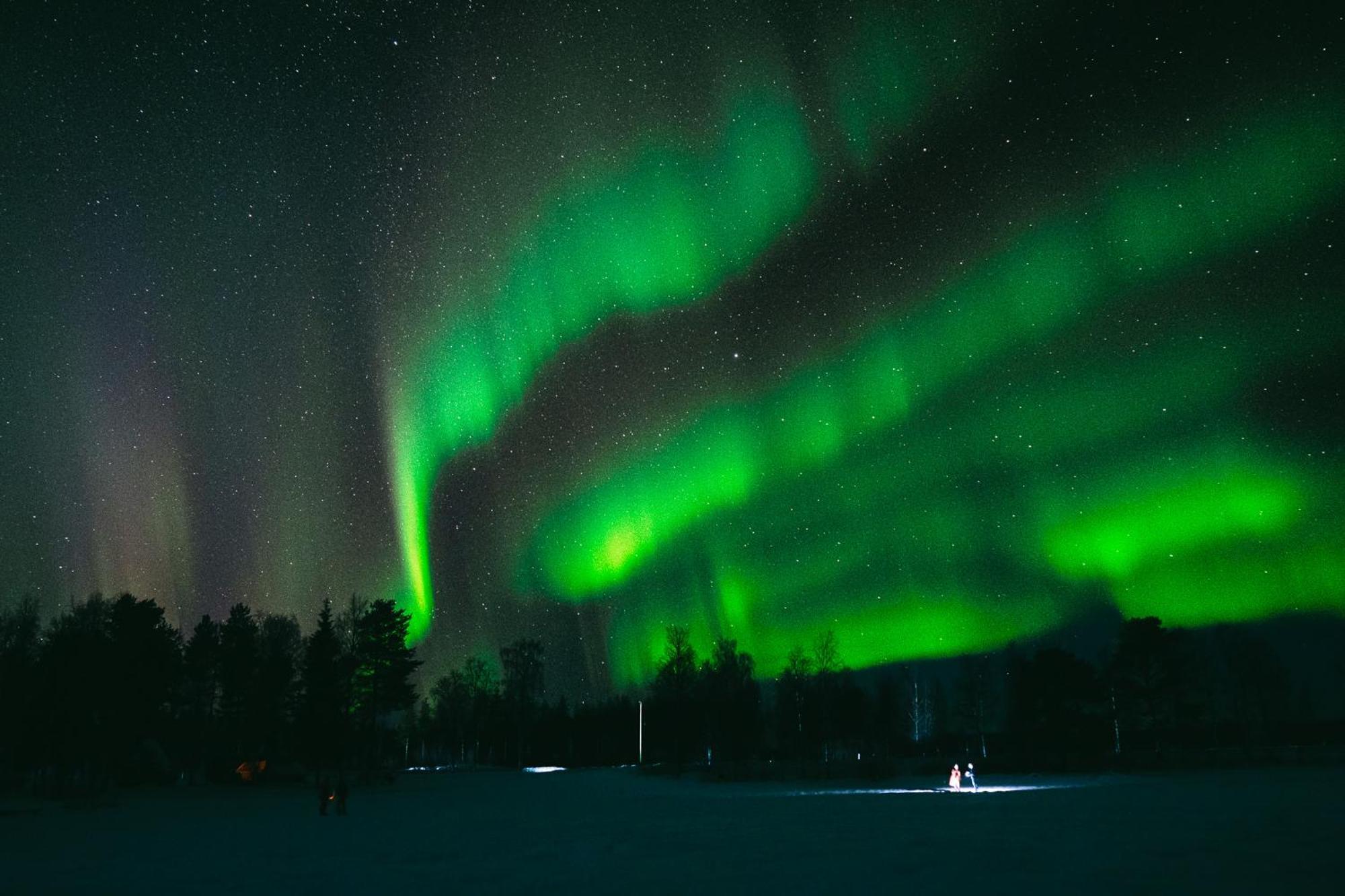 Arctic Downtown Dream: Cozy City Studio Rovaniemi Esterno foto